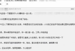 大鹅最新爆料视频,揭秘幕后真相，带你走进事件核心