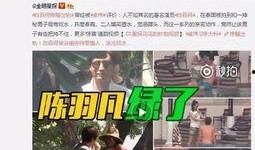 武成侯最新爆料视频大全