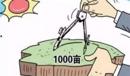土地纠纷媒体爆料案例最新,媒体曝光下的权属争议解决之道