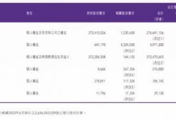 李宁内部爆料最新消息,揭秘品牌转型背后的秘密与挑战