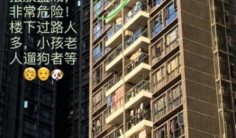 怀化租房爆料平台官网最新,最新房源信息汇总，揭秘租房陷阱与攻略！