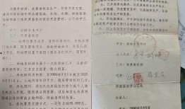 土地纠纷媒体爆料案例最新,媒体曝光下的权属争议解决之道