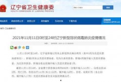 辽宁最新爆料消息今天,揭秘神秘事件背后的惊人真相