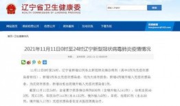 辽宁最新爆料消息今天,揭秘神秘事件背后的惊人真相